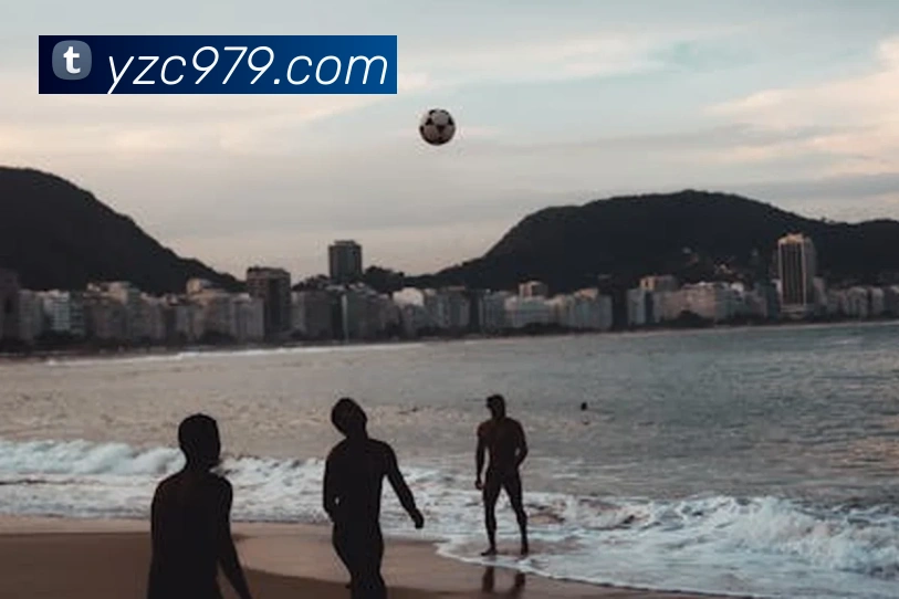 多媒体互动体验