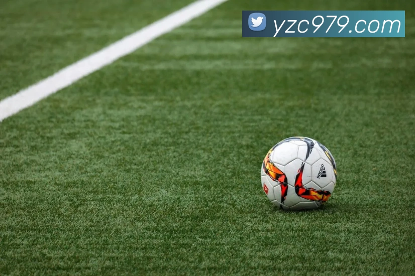 数据防护可视化